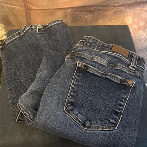 Judy Blue Indigo Skinny Jeans